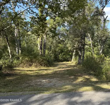 Hunting Land with Property Trails
