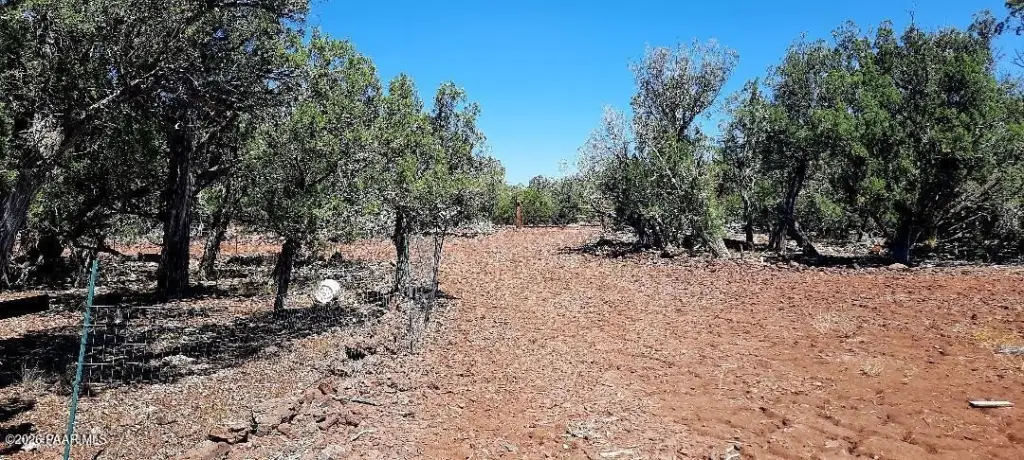 Picture 9