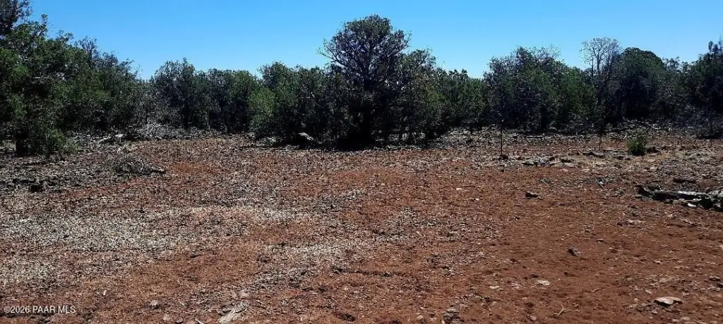 Picture 19