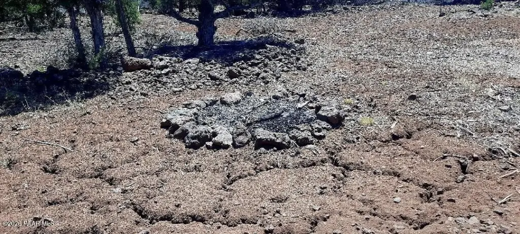 Picture 11