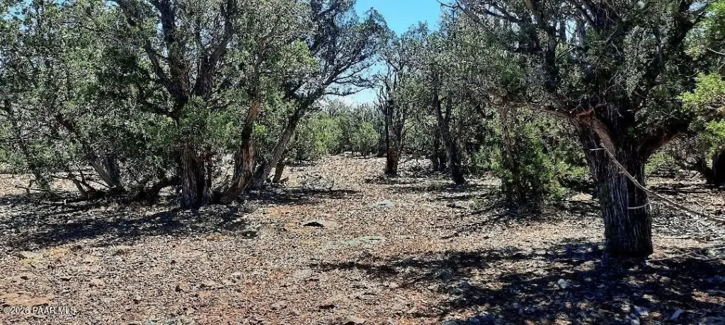 Picture 10