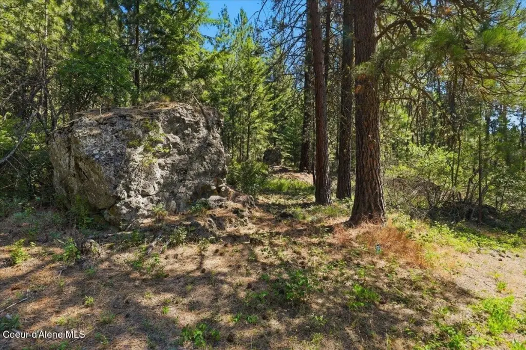 Picture 27