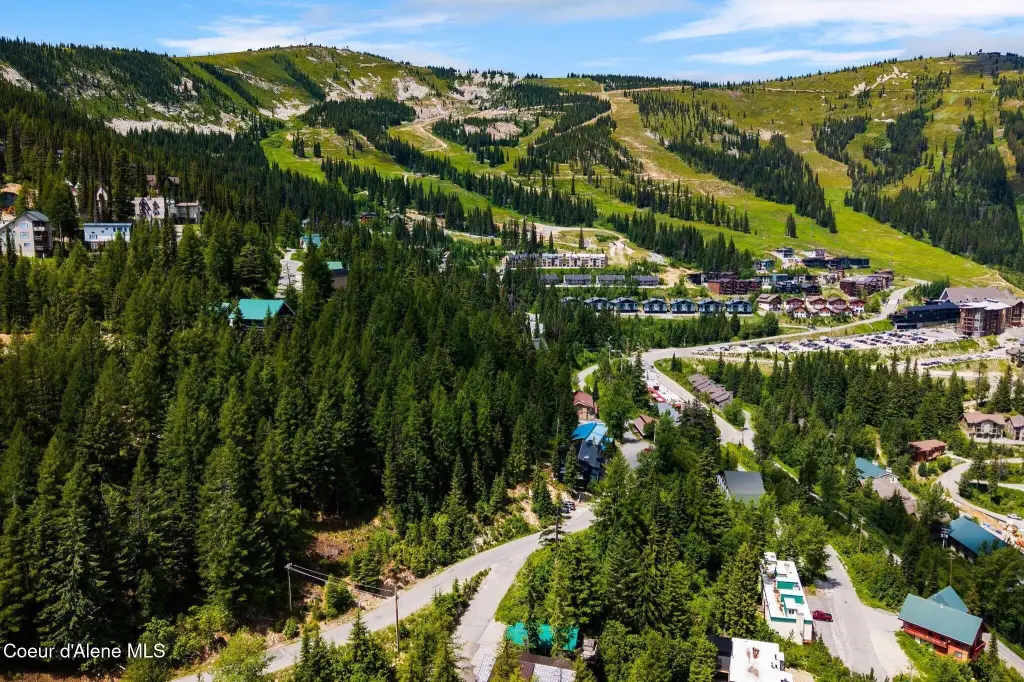 Picture 20