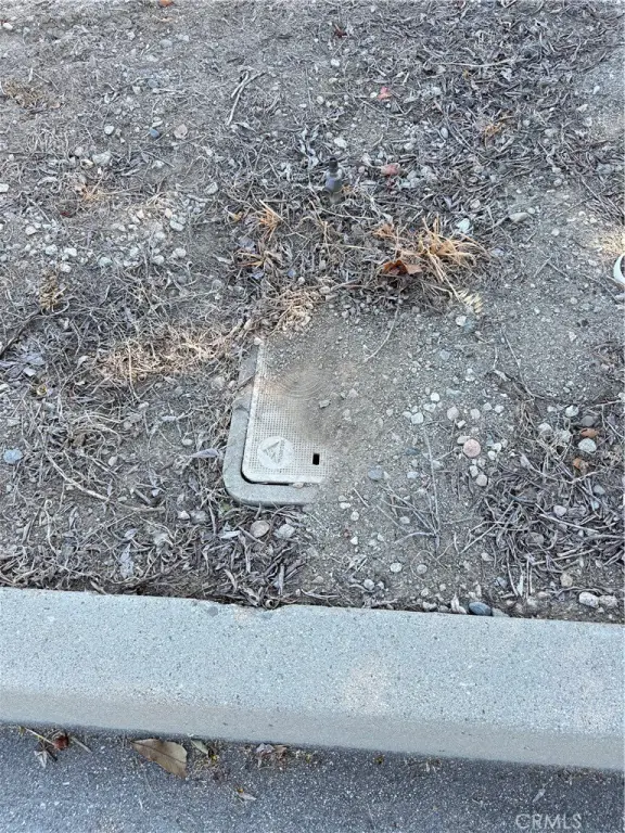 Picture 13