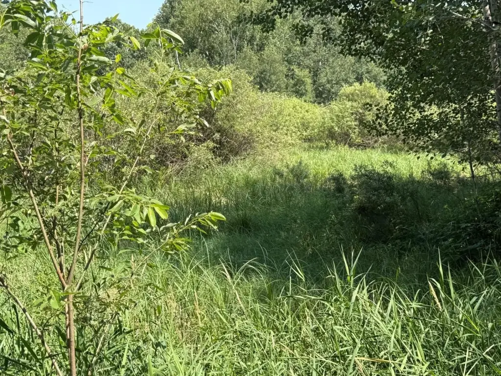 Picture 28