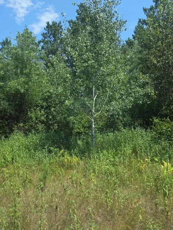 Picture 29
