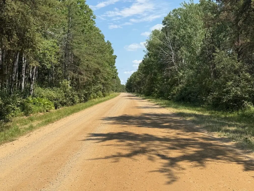 Picture 26