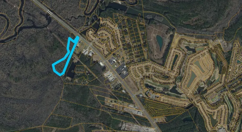 Picture 5