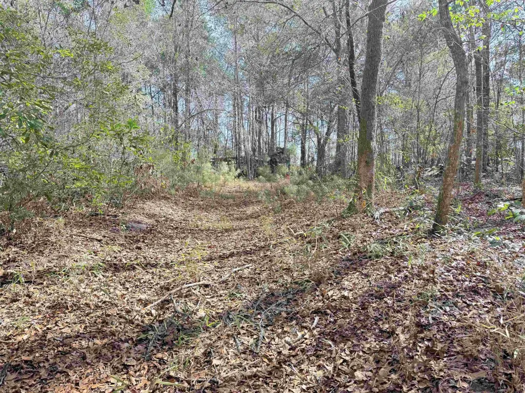 Picture 16