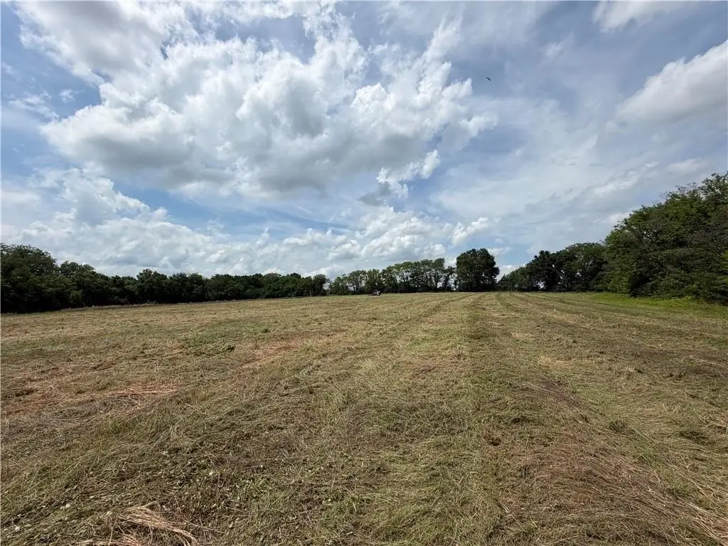 Picture 19