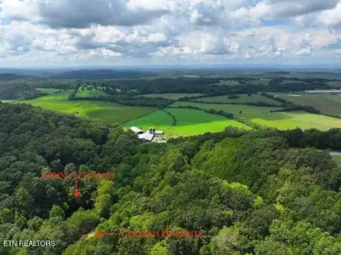16.14 Acres in Niota, TN