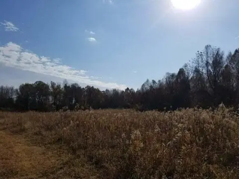 Hunting Land with Wildlife Habitat