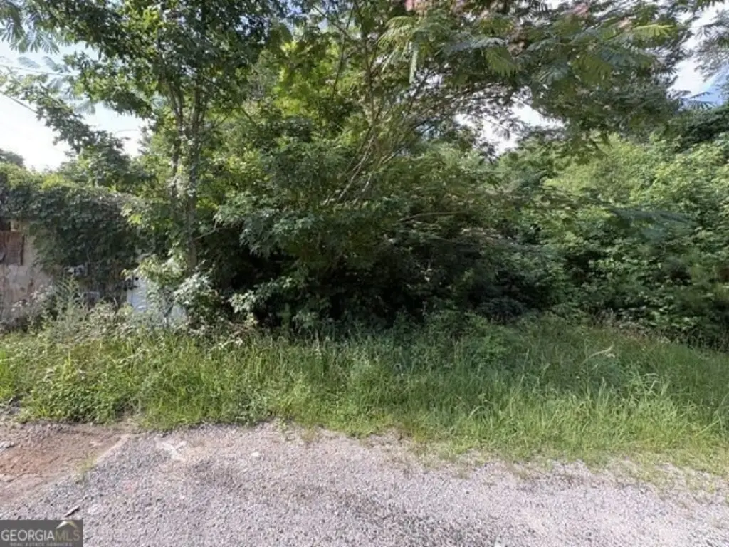 Picture 3