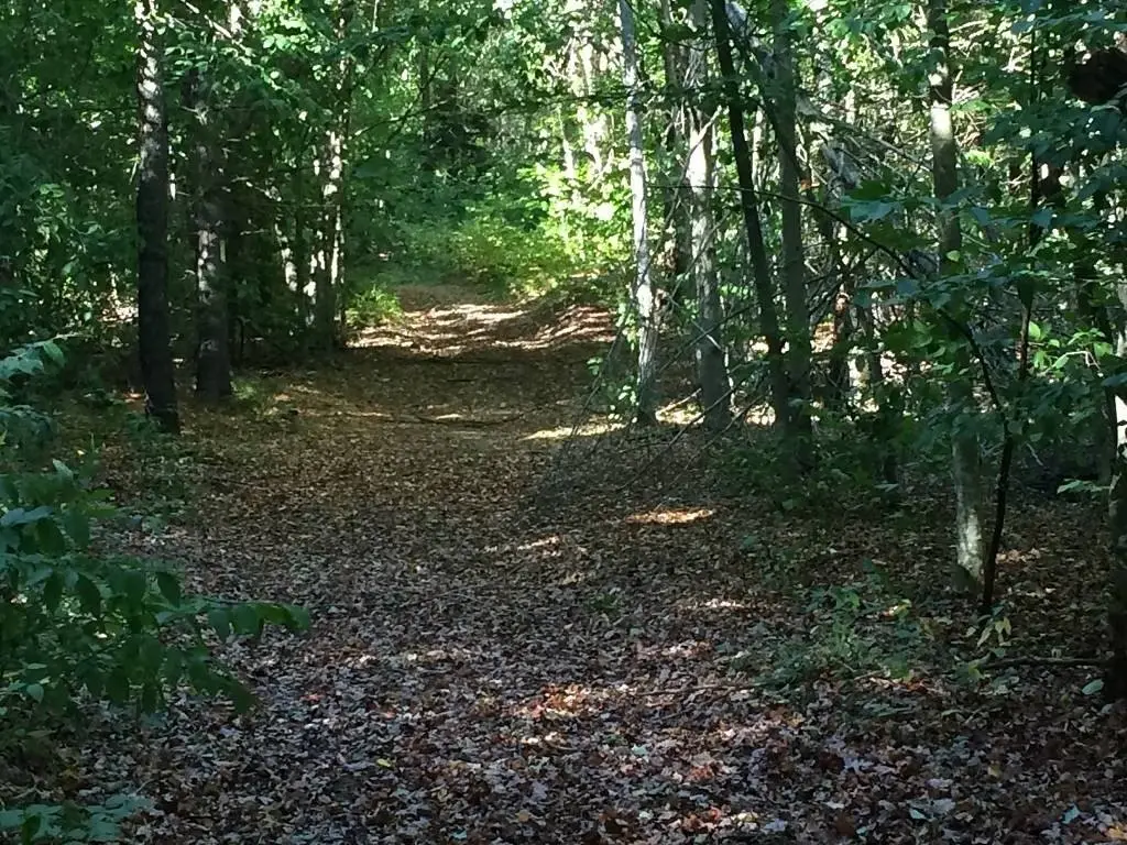 Picture 8