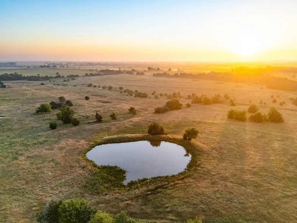 Picture 30