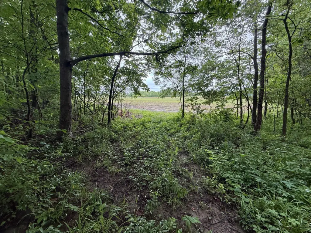 Picture 40