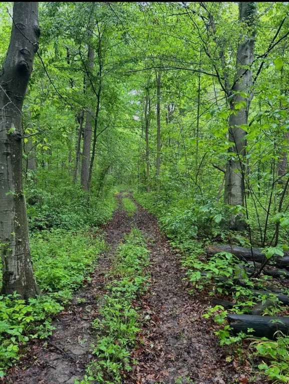 Picture 8