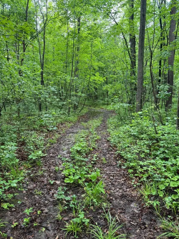 Picture 38
