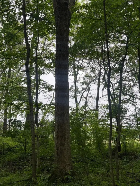 Picture 13