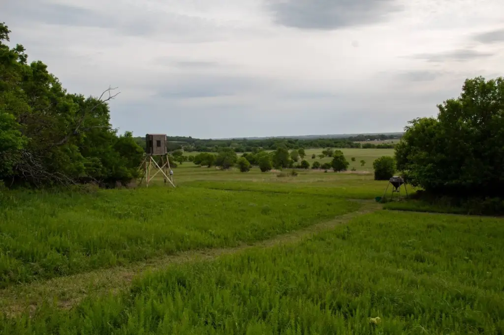 Picture 42