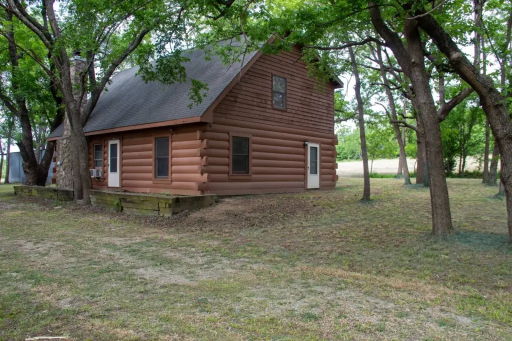 Picture 5