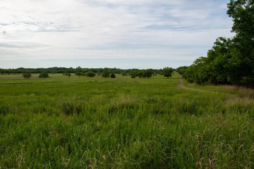 Picture 25
