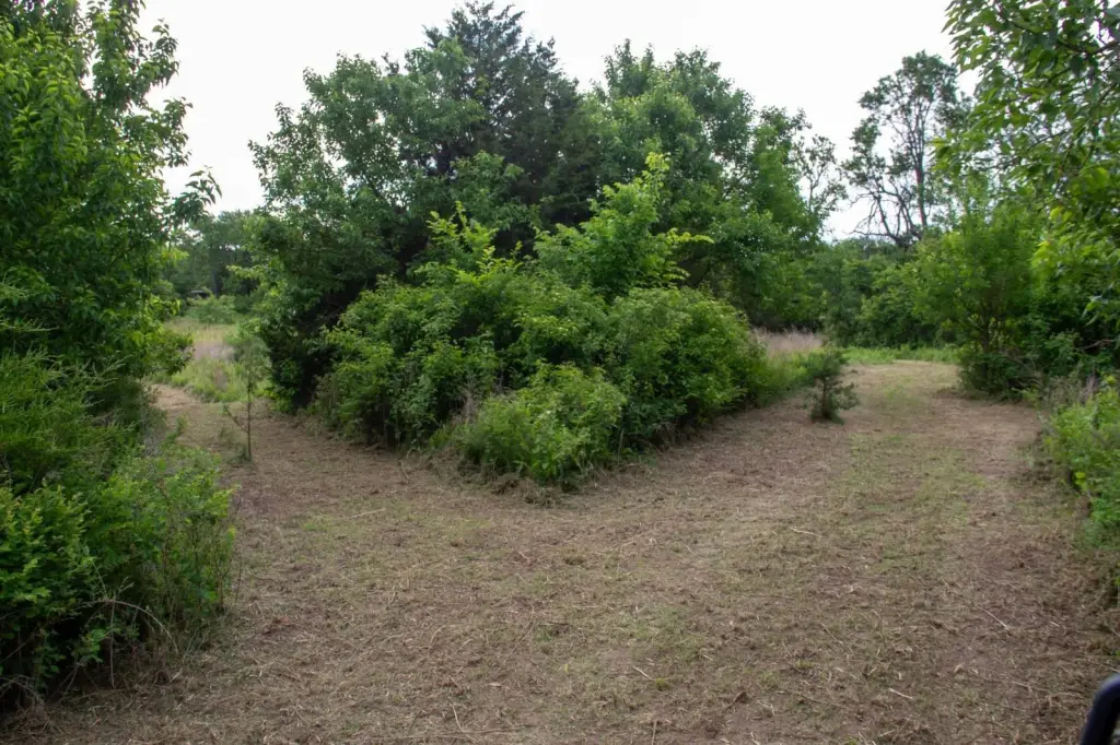 Picture 46