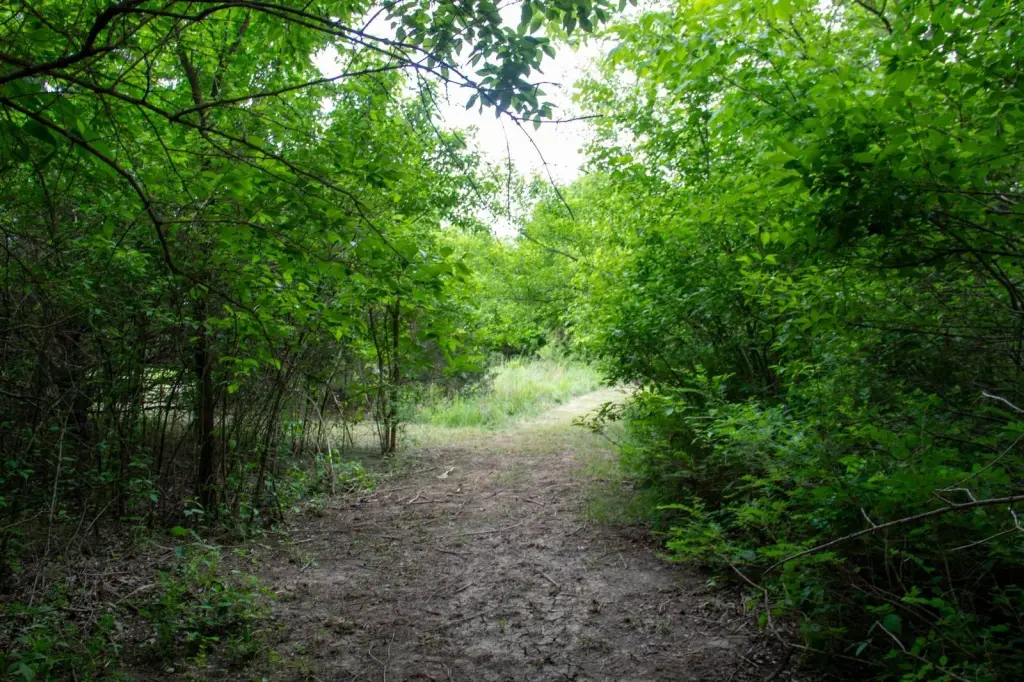 Picture 56