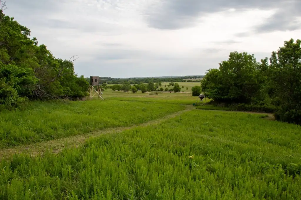 Picture 45
