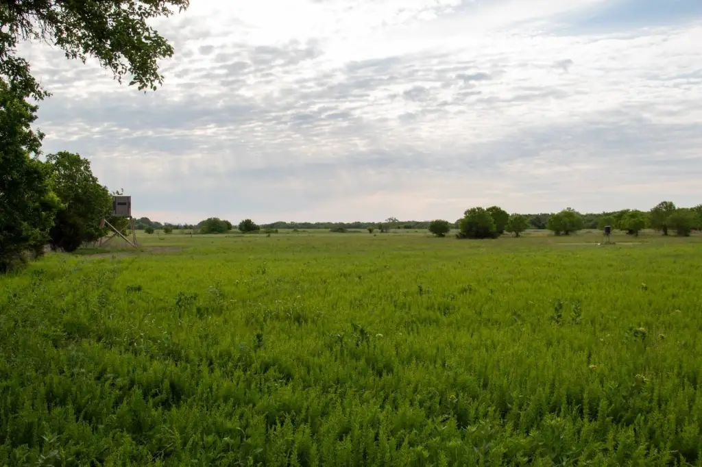 Picture 33