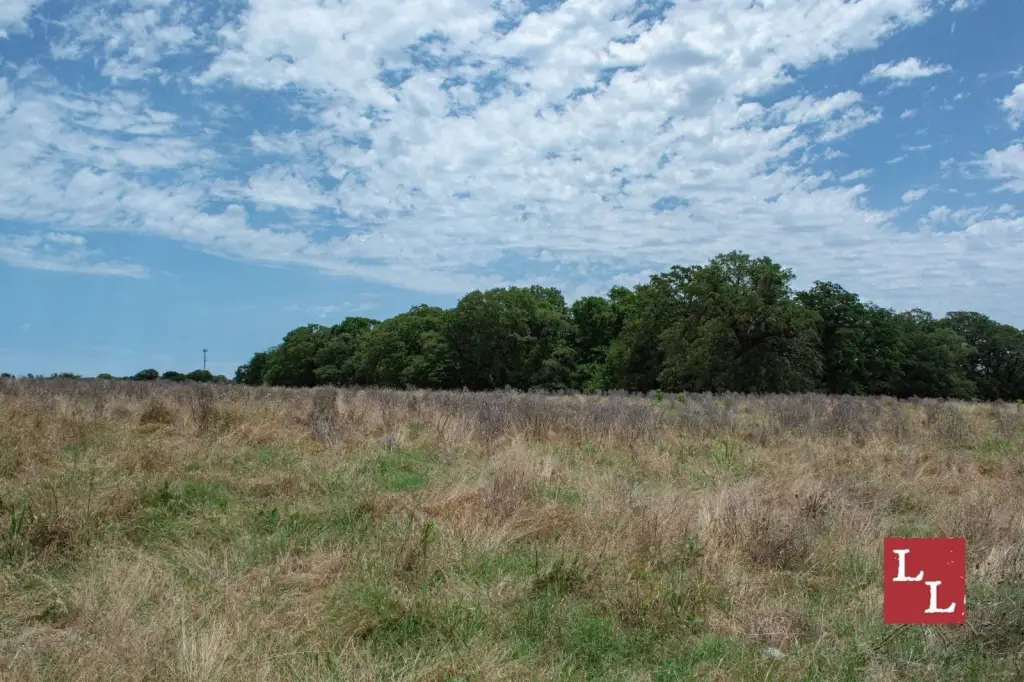 Picture 31