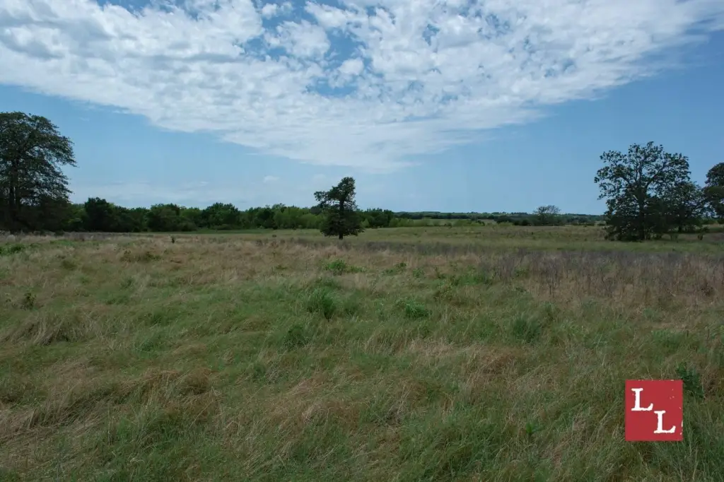 Picture 35