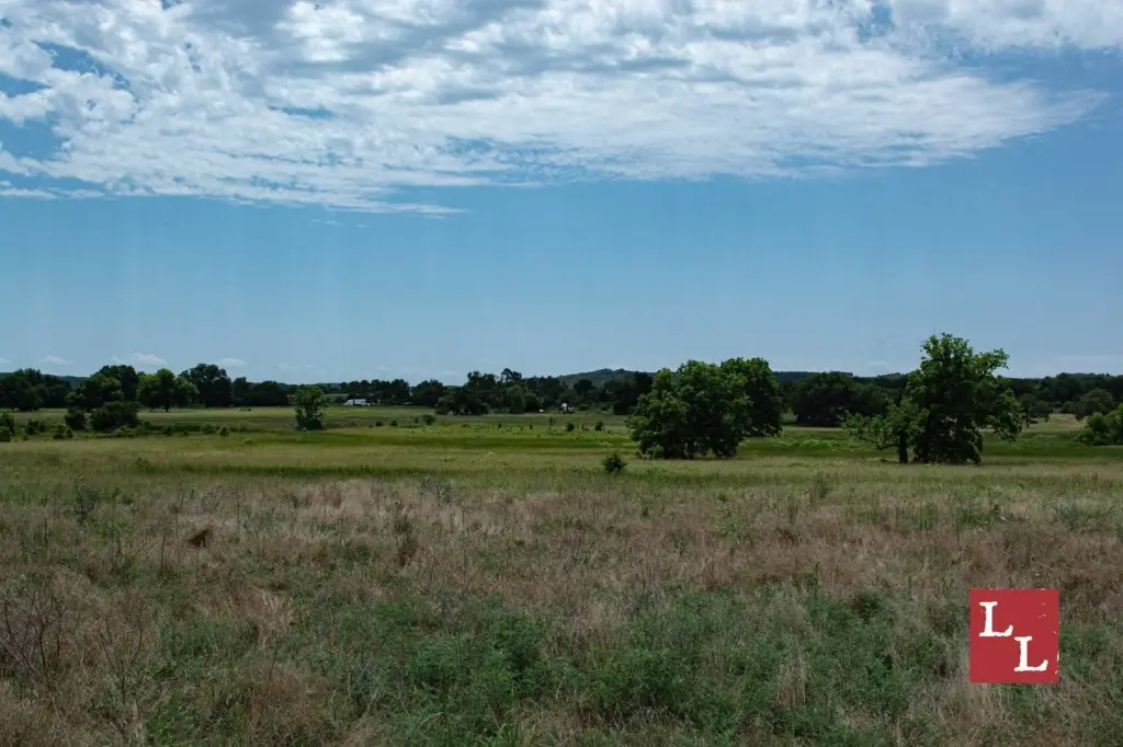 Picture 28