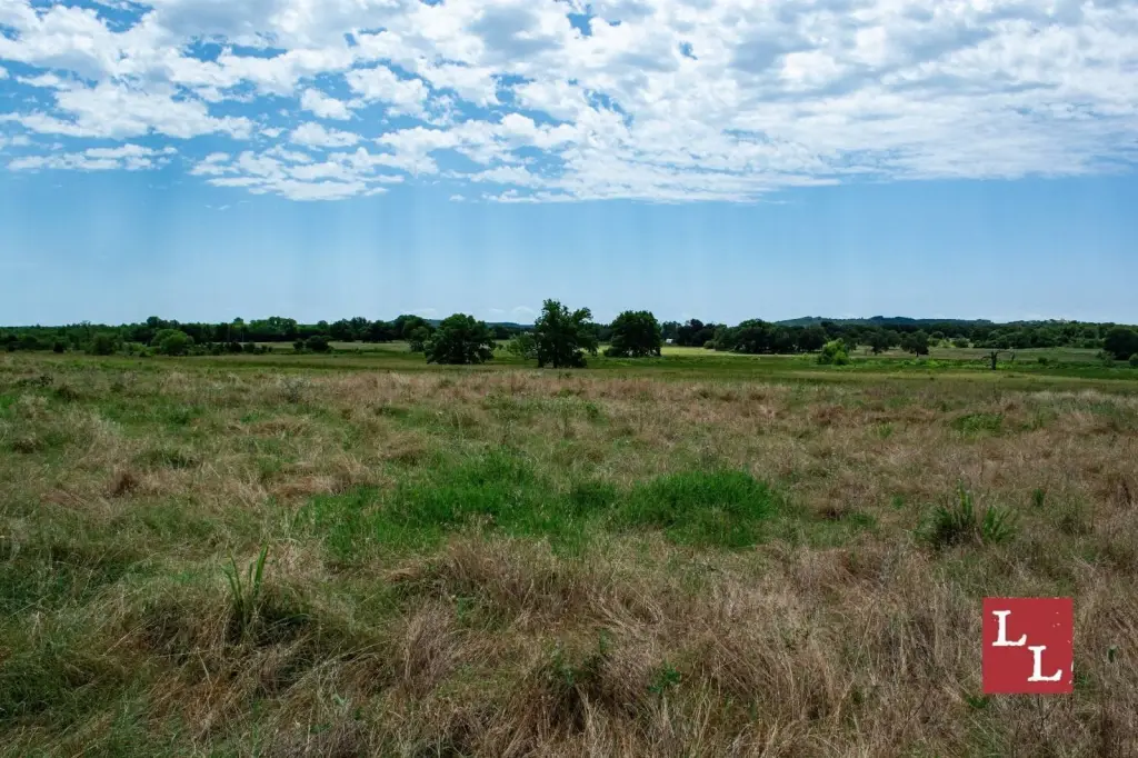 Picture 33