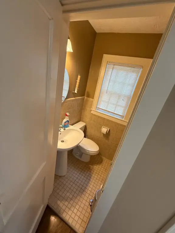Picture 31