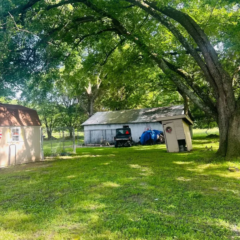 Picture 27