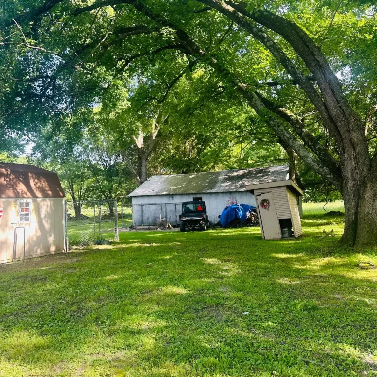 Picture 39