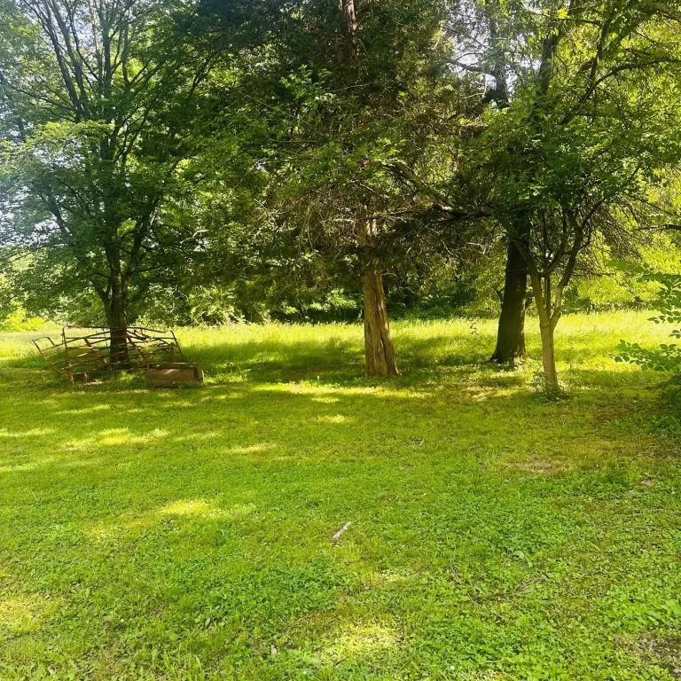 Picture 31