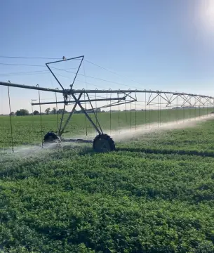 Irrigated Land in La Junta, CO