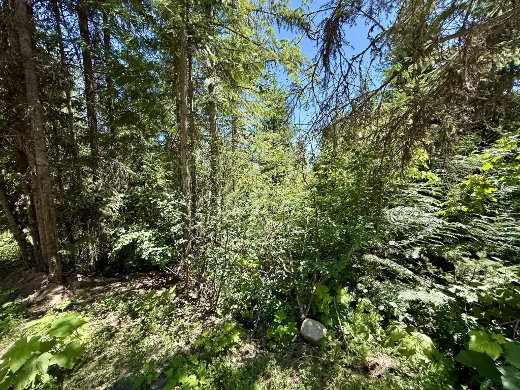 Picture 11