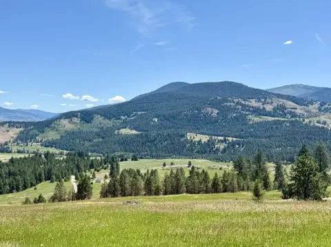 Mountain-Side Acreage in Ferry County