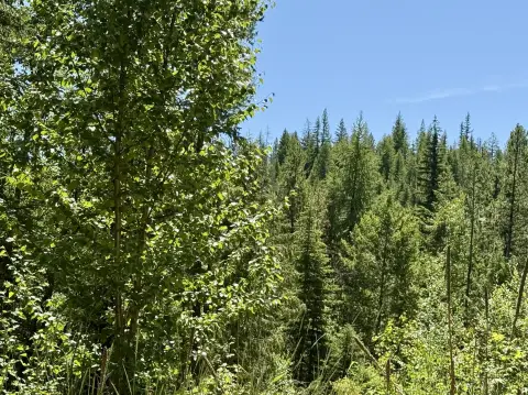 Mountain-Side Parcel in Ferry County