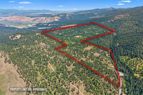 252 Acres Near Mica Peak