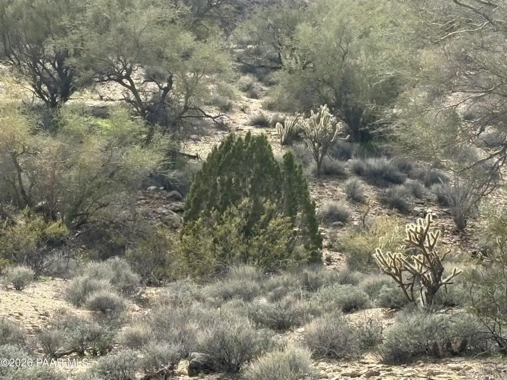Picture 25