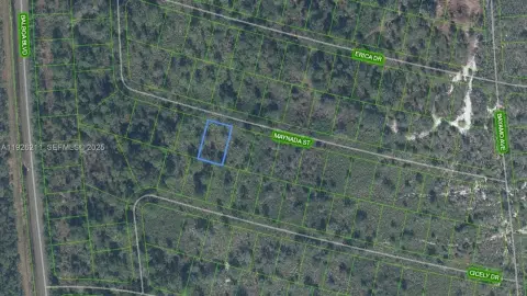 Residential Land in Sebring, FL