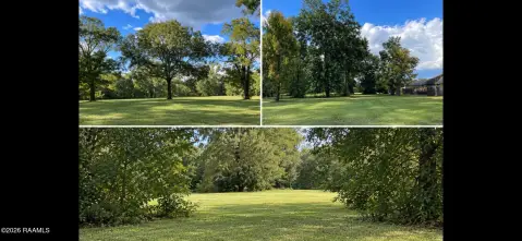 Commercial Land with Mature Trees