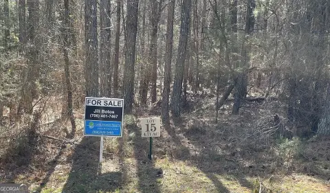 Large Wooded Lot with Utilities