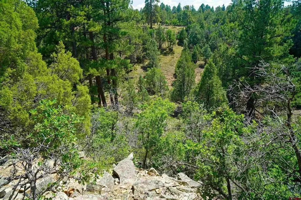 Picture 10