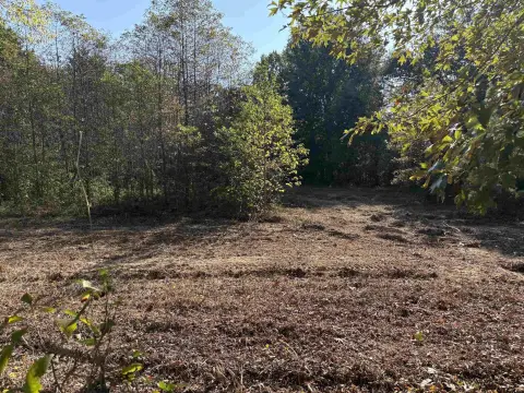 Brownsboro Acreage For Sale