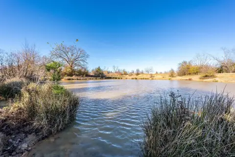 Tyler, TX Rural Acreage